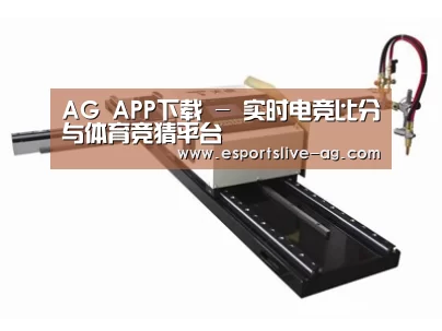 案例展示一