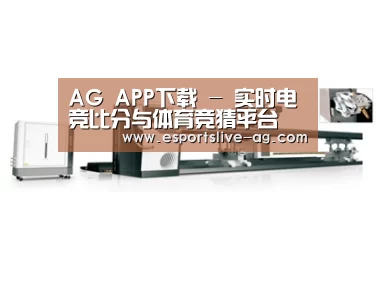 案例展示五