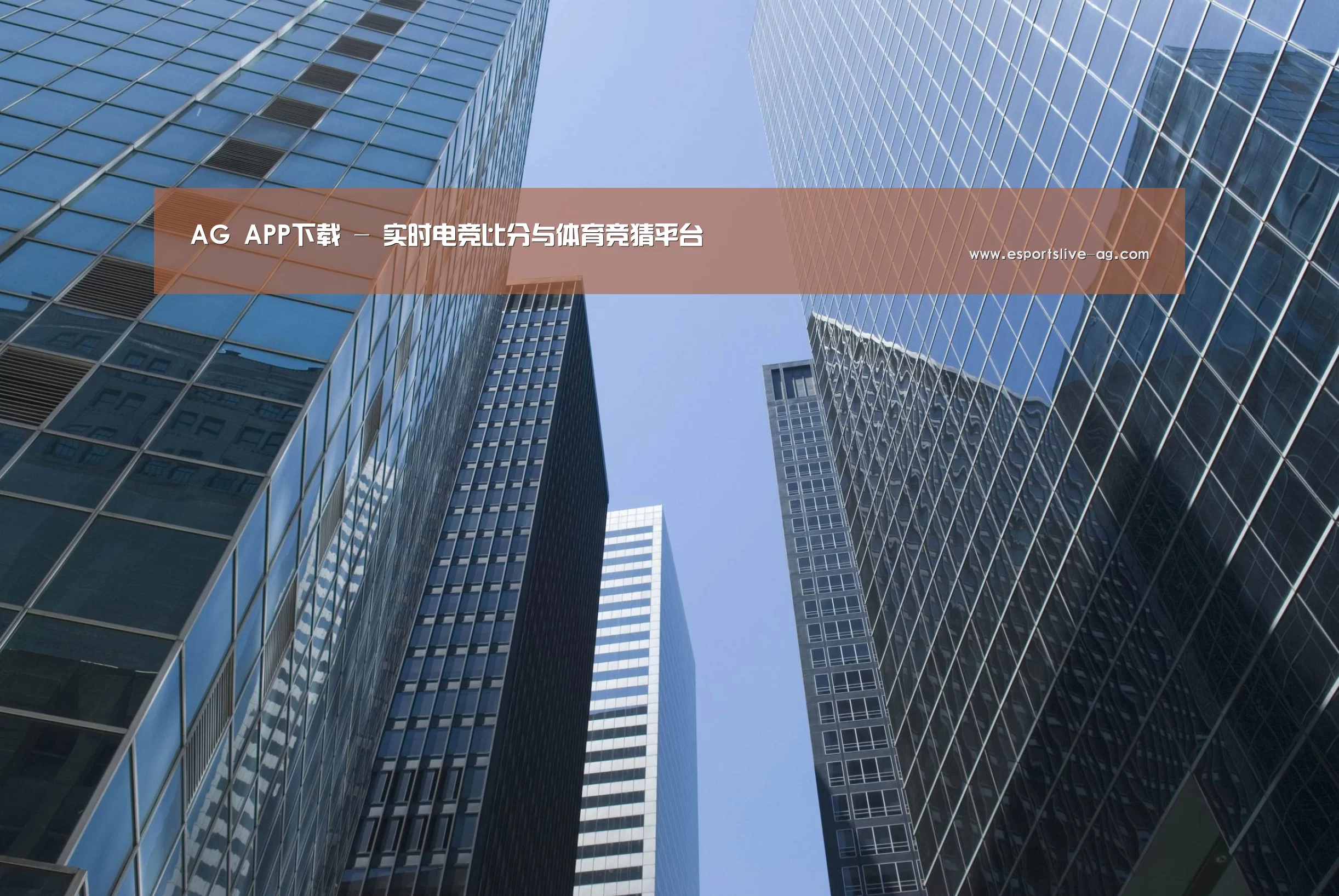 AG入口公司简介 