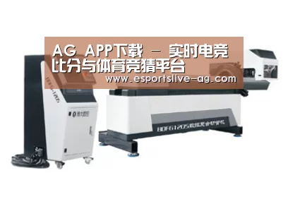 案例展示三