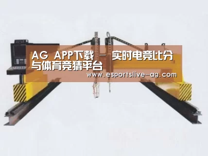 产品名称十七