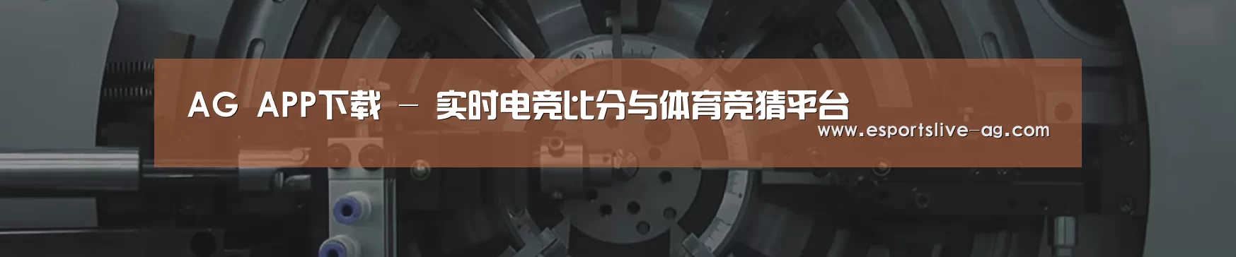 某某机械公司
