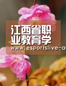 江西省职业教育学会常务理事会在江西科技师院召开：AG入口