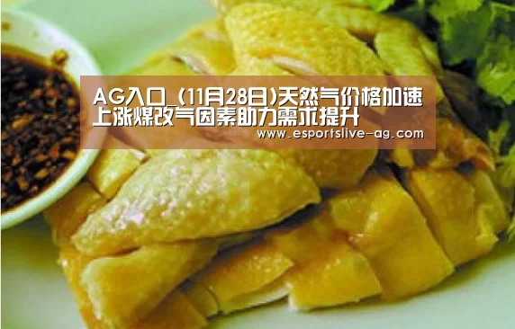 AG入口_(11月28日)天然气价格加速上涨煤改气因素助力需求提升(图1) AG竞猜