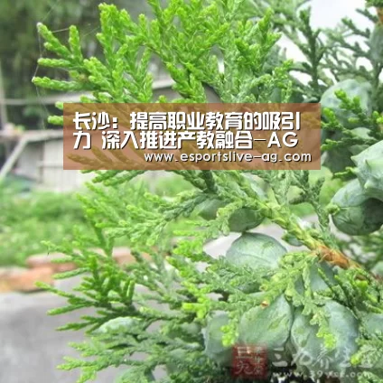 长沙:提高职业教育的吸引力 深入推进产教融合-AG入口(图3) AG竞猜