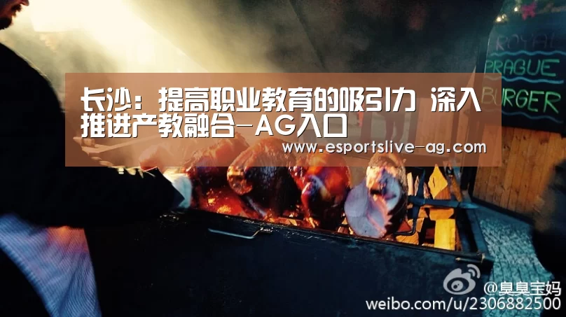 长沙:提高职业教育的吸引力 深入推进产教融合-AG入口(图2) AG竞猜