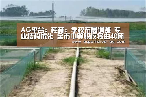 AG平台:桂林:学校布局调整 专业结构优化 全市中等职校将由40所调整为24所(图3) AG竞猜