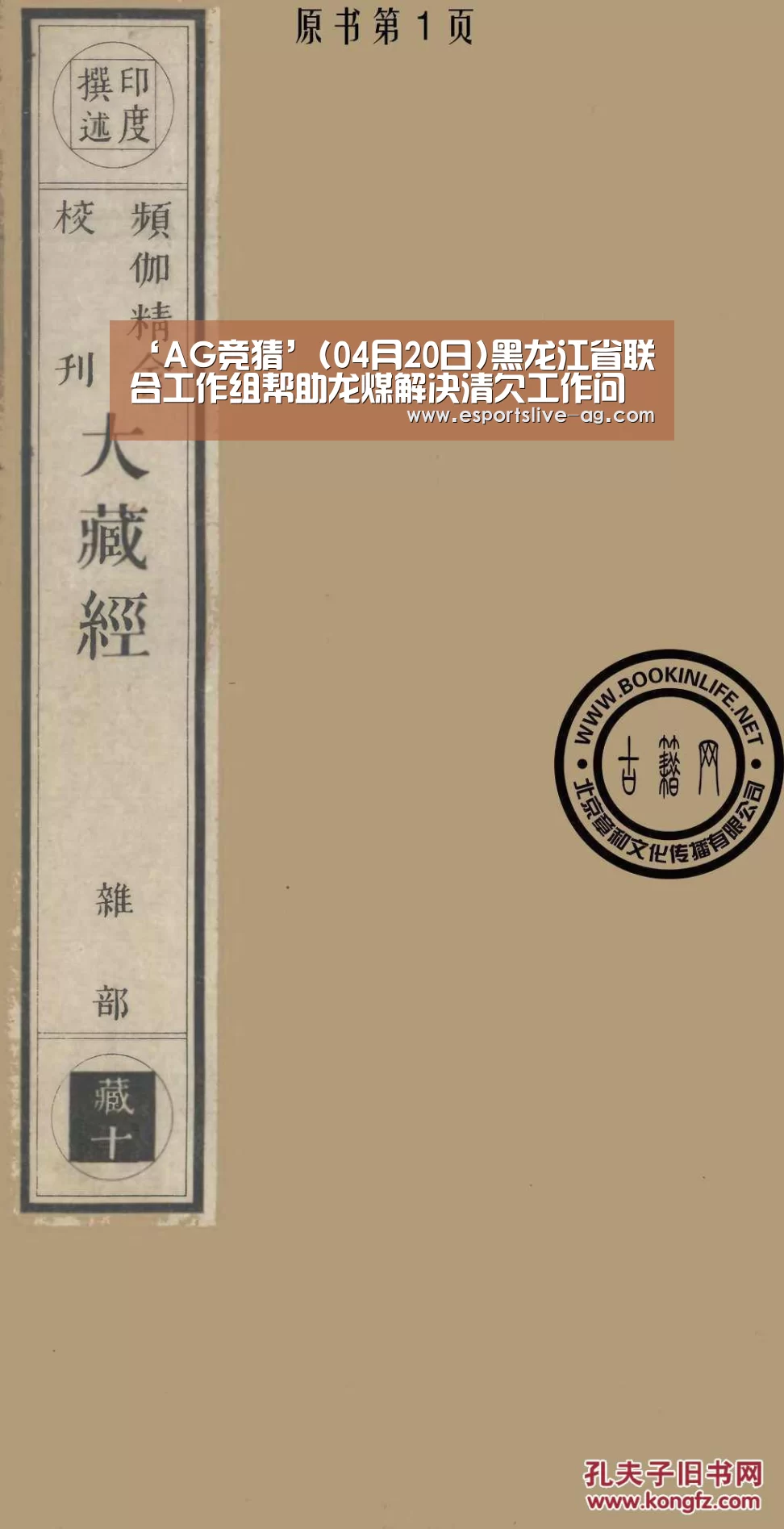 AG电竞