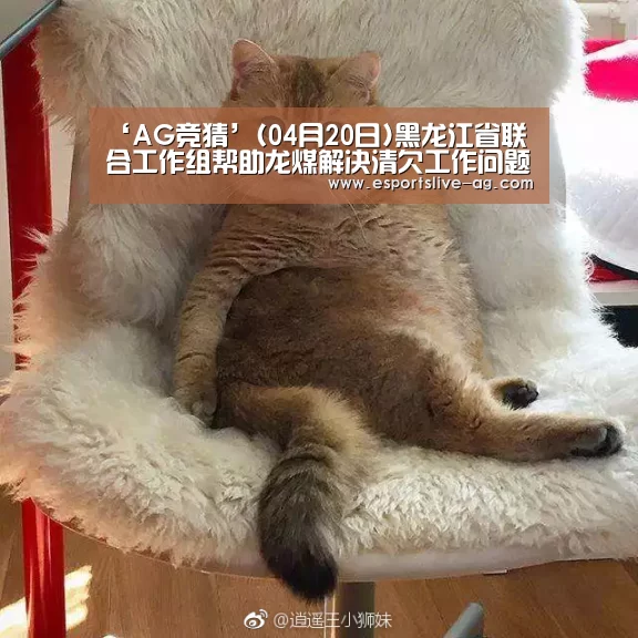 AG入口