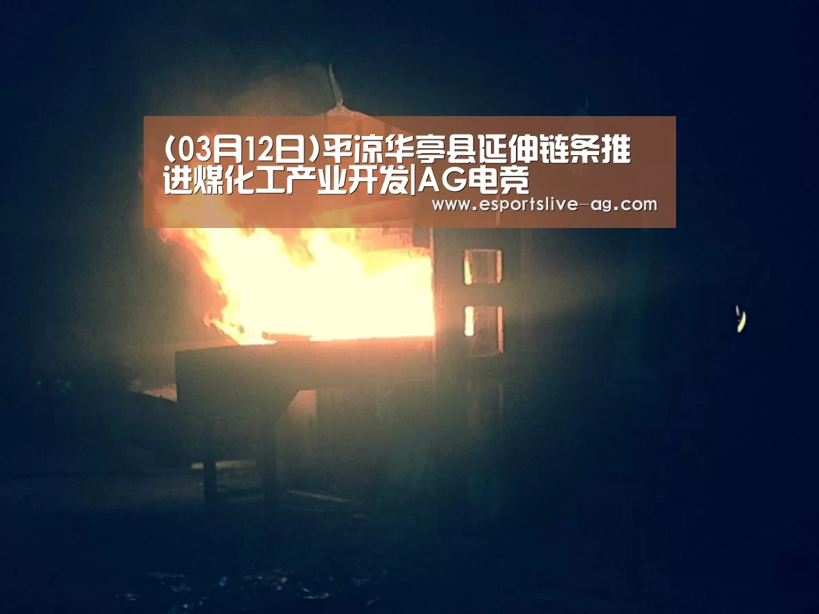 (03月12日)平凉华亭县延伸链条推进煤化工产业开发|AG电竞(图3) AG平台