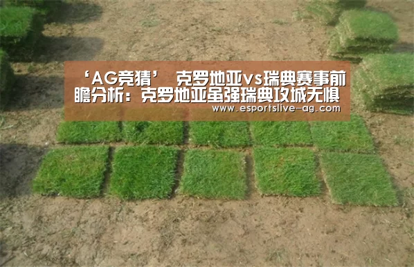 ‘AG竞猜’
克罗地亚vs瑞典赛事前瞻分析:克罗地亚虽强瑞典攻城无惧(图3) AG电竞
