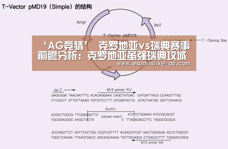 ‘AG竞猜’
克罗地亚vs瑞典赛事前瞻分析:克罗地亚虽强瑞典攻城无惧(图4) AG平台