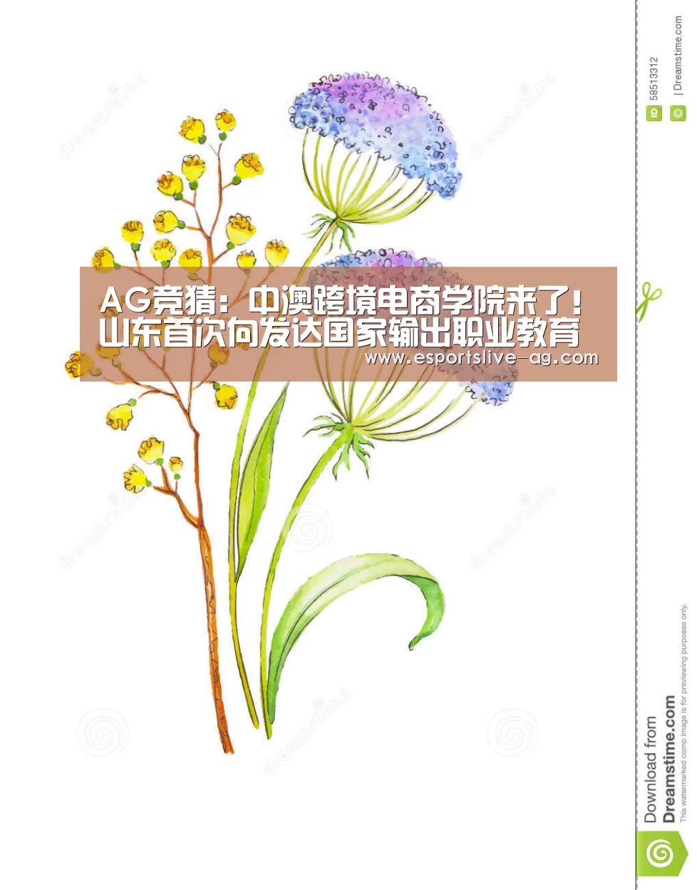 AG竞猜:中澳跨境电商学院来了!山东首次向发达国家输出职业教育资源(图2) AG入口