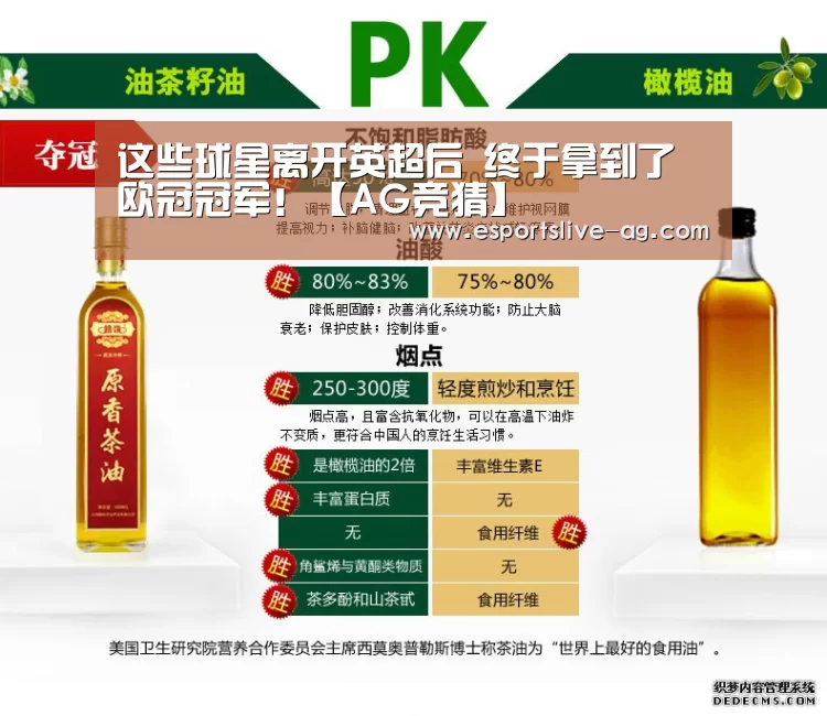 这些球星离开英超后 终于拿到了欧冠冠军!【AG竞猜】(图3) AG平台