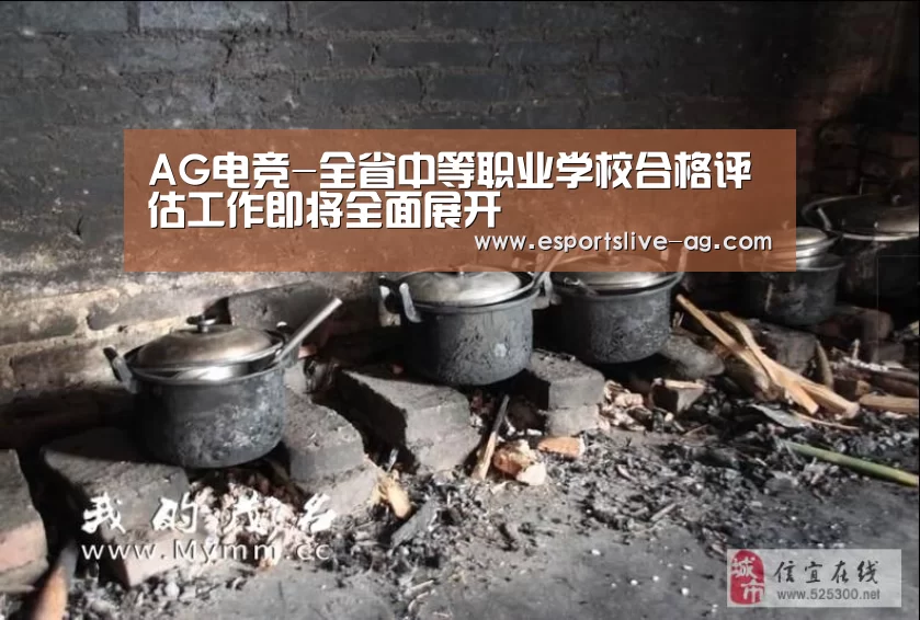 AG电竞-全省中等职业学校合格评估工作即将全面展开(图3) AG电竞