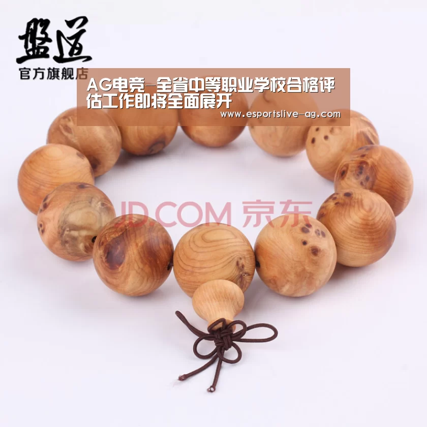 AG电竞-全省中等职业学校合格评估工作即将全面展开(图4) AG竞猜