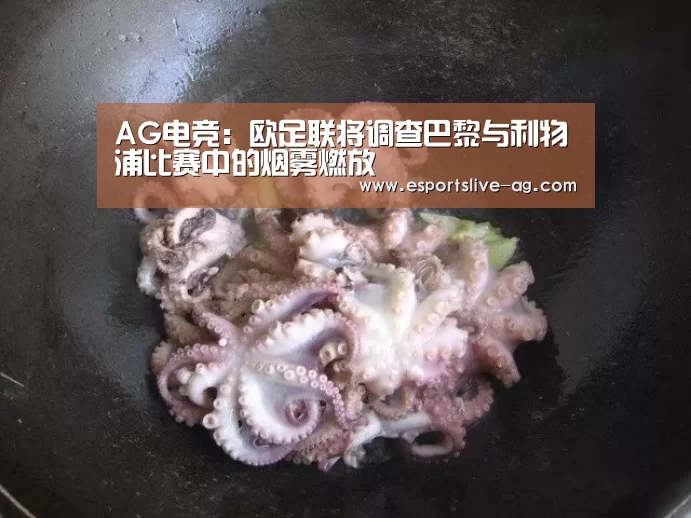 AG电竞:欧足联将调查巴黎与利物浦比赛中的烟雾燃放(图1) AG平台